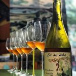 Peverella-Riedel