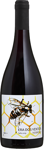 nebbiolo